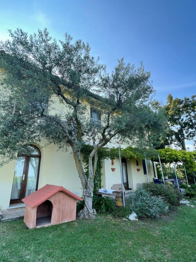 B&B Il Melograno Monzambano Eksteriør bilde